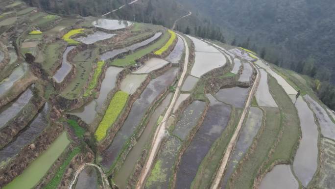 湘西双龙村