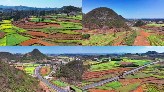 4K航拍贵州黔西南田园油菜花风景