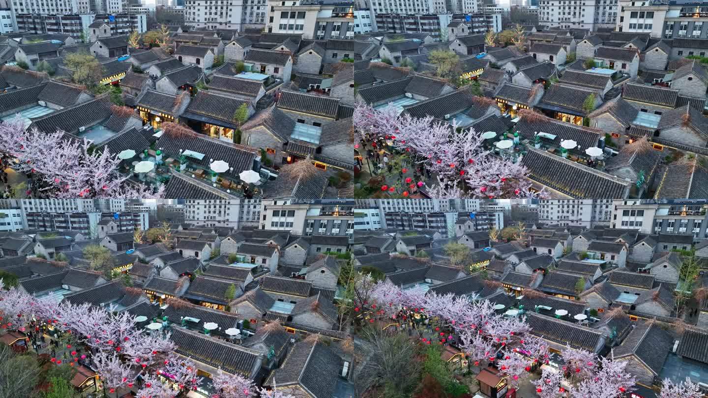 春天古建筑樱花与灯笼夜景航拍徐州市回龙窝