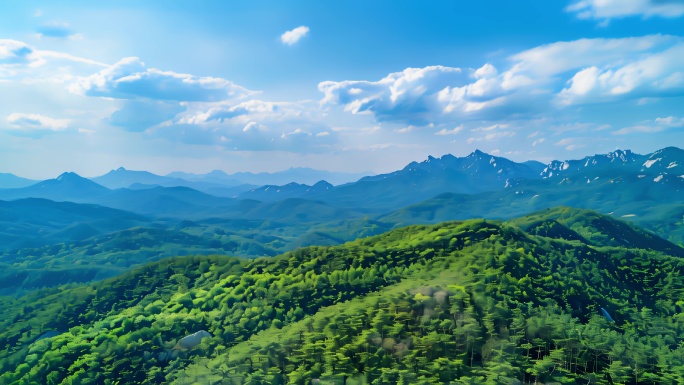 航拍韩国景福宫国立公园南怡岛