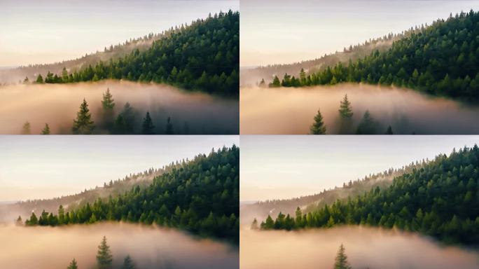 航拍森林山水风景云雾云雾缭绕5