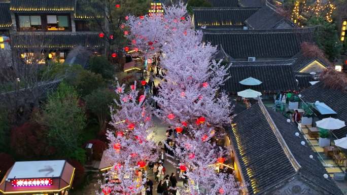 春天古建筑樱花与灯笼夜景航拍徐州市回龙窝