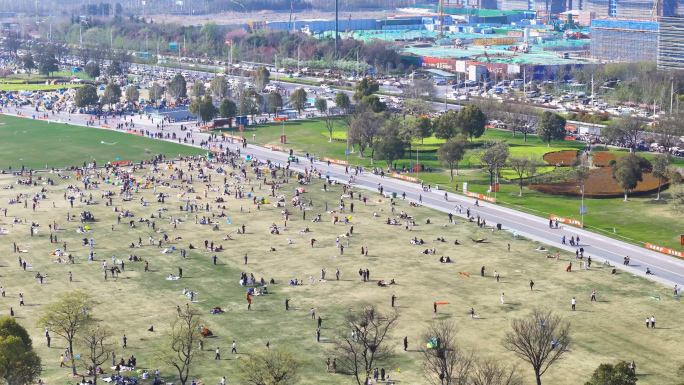 徐州 春天 大龙湖风筝 放风筝 草坪