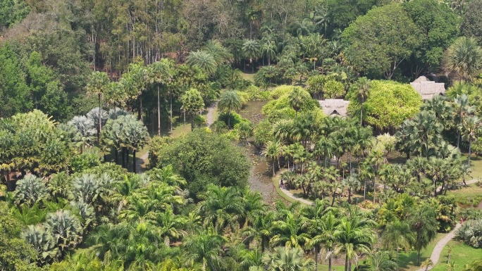 4K-Log-航拍中科院热带植物园