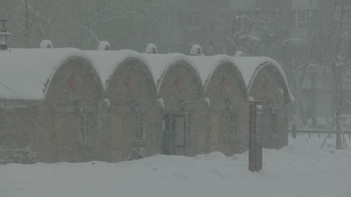 大雪 城市 电影机 灰片 博物馆