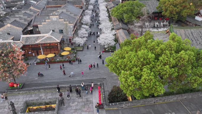 台州临海紫阳街樱花航拍