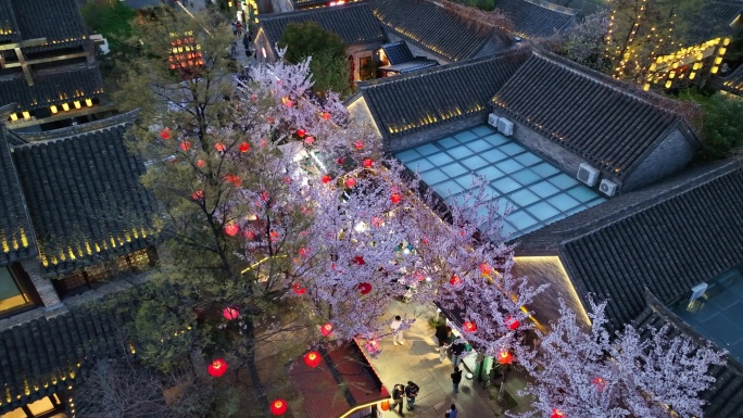 春天古建筑樱花与灯笼夜景航拍徐州市回龙窝