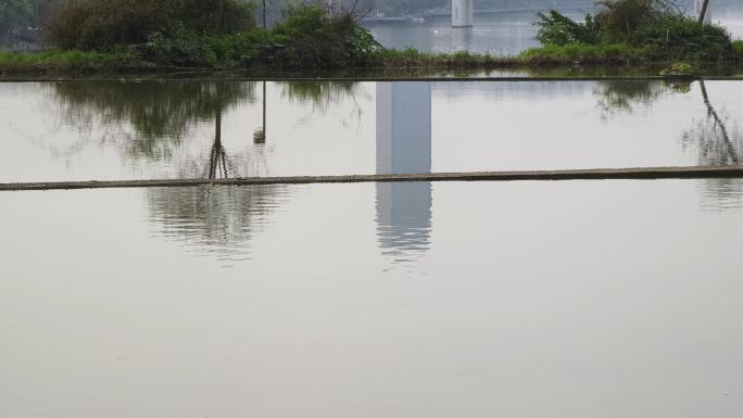 城市高楼水中倒影