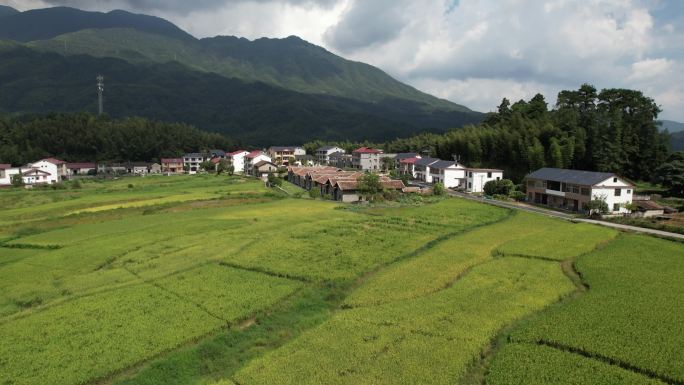 靖安船湾村