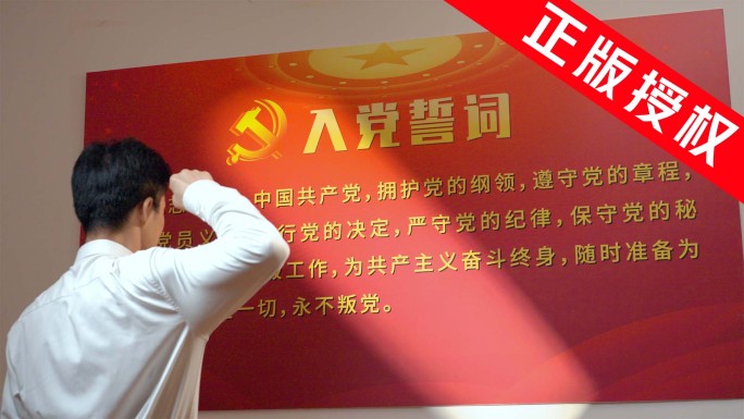 党员入党宣誓 入党积极分子