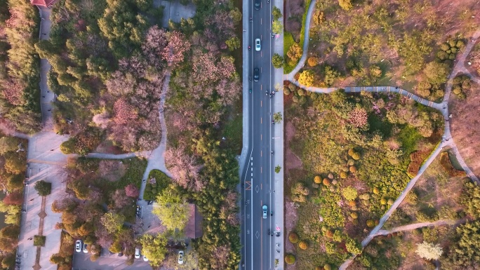 航拍春天唯美徐州云龙湖风景区苏公塔园林