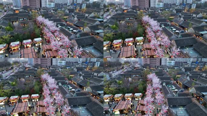 春天古建筑樱花与灯笼夜景航拍徐州市回龙窝