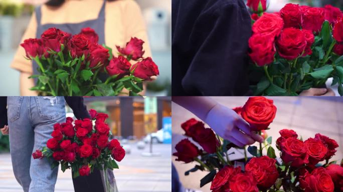 情人节玫瑰花红玫瑰一束玫瑰