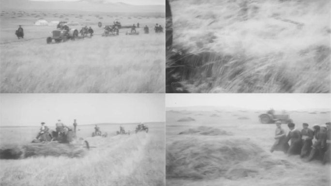 50年代草原使用拖拉机割草影像