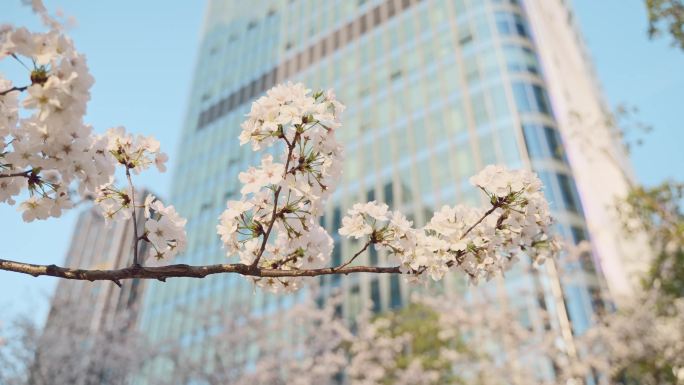 春色、春天景象