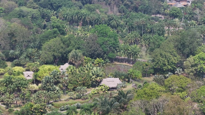 4K-Log-航拍中科院热带植物园