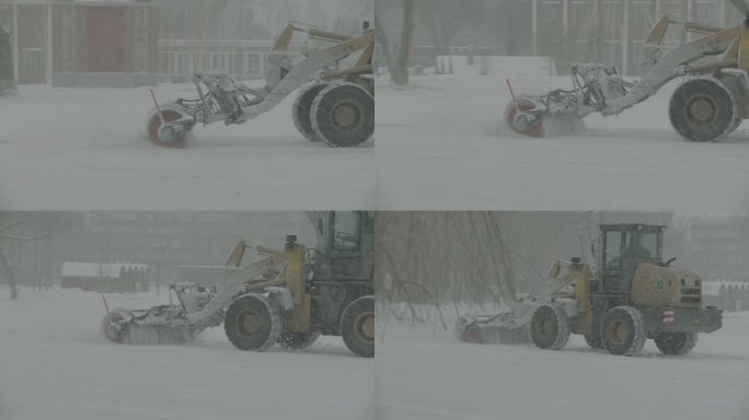 大雪 城市 扫雪