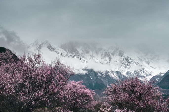 桃花 雪山 南迦巴瓦 乌云 延时