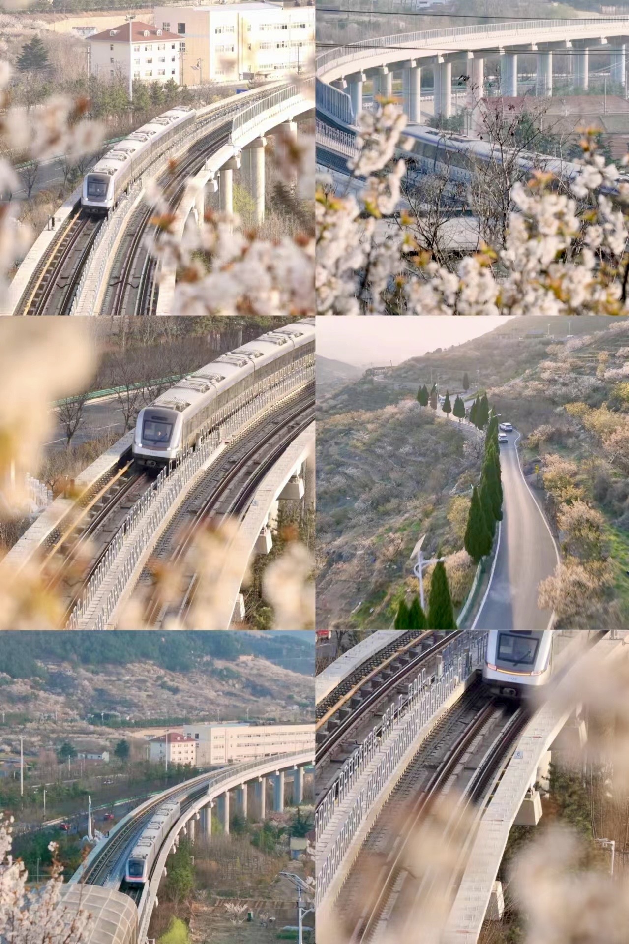 列车 青岛樱花 春天 地铁 航拍 火车