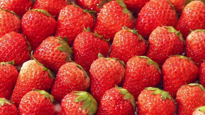 新鲜的草莓泼水冲水旋转的夏季水果
