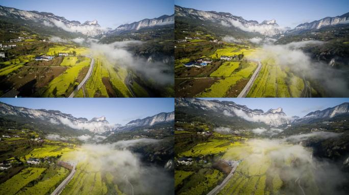 山区春天油菜花海4K