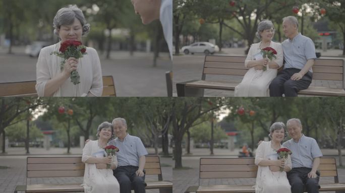 浪漫老年人的幸福生活爷爷给奶奶送鲜花