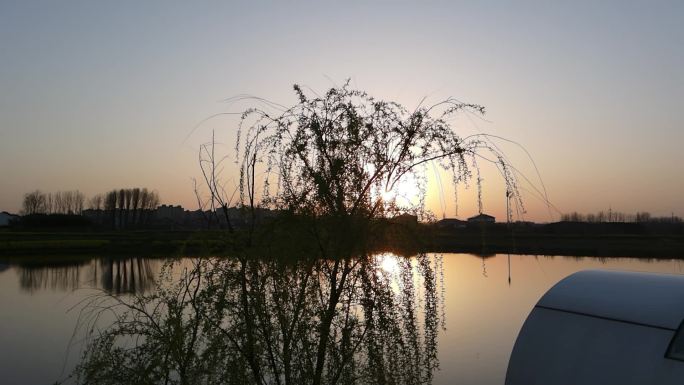 4K高清航拍夕阳湖边柳树枝