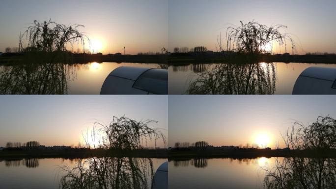 4K高清航拍夕阳湖边柳树枝