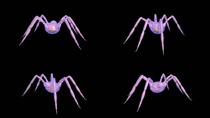 蜘蛛 爬行动物塑料玩具恐怖可怕螃蟹昆虫9