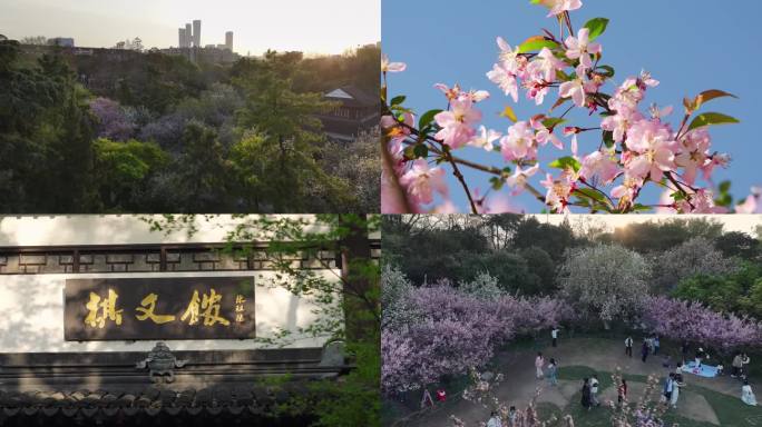 南京莫愁湖公园春天海棠花园林空镜航拍素材