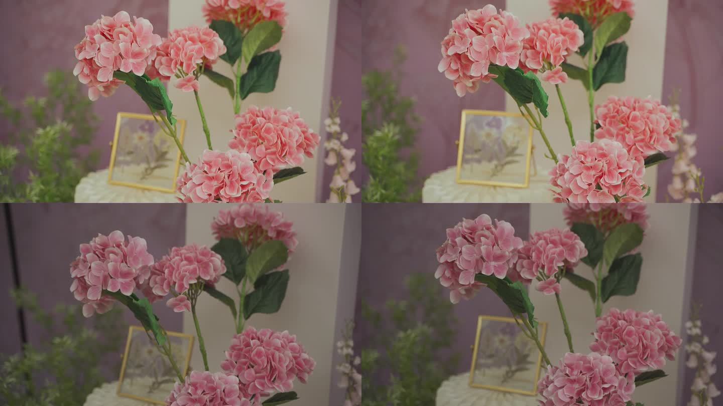 绣球花装饰花朵视频