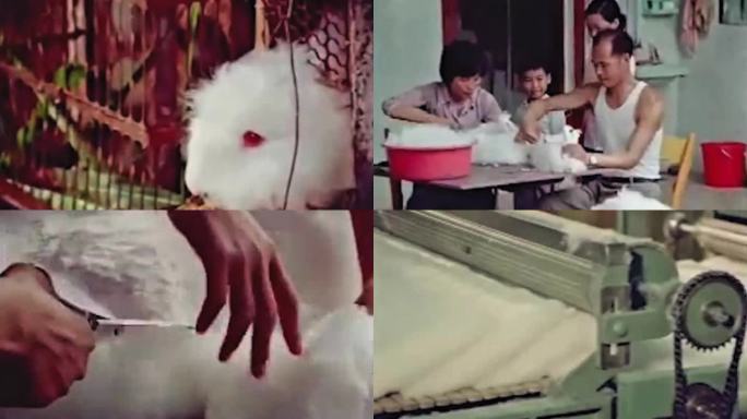 80年代 养殖兔子