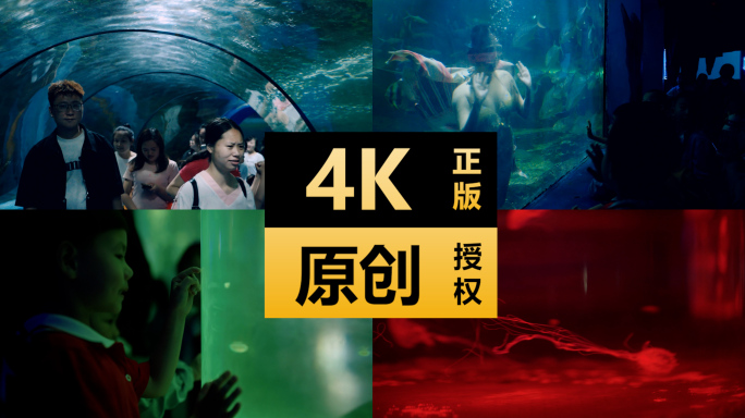 家长带学生参观海洋馆