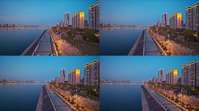 杭州 滨江 闻涛路 樱花大道 城市 夜景