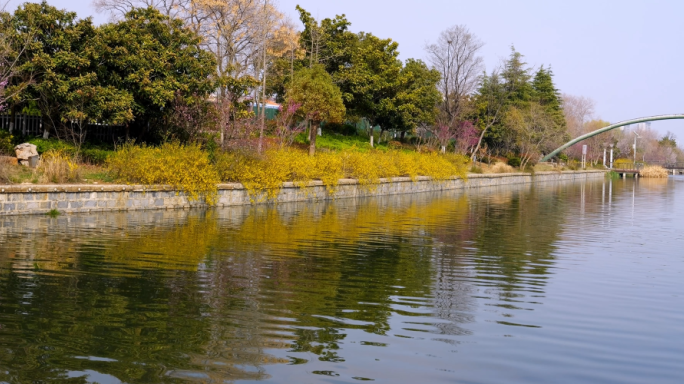 河流 水流 河面倒影 河岸春景 湖边美景