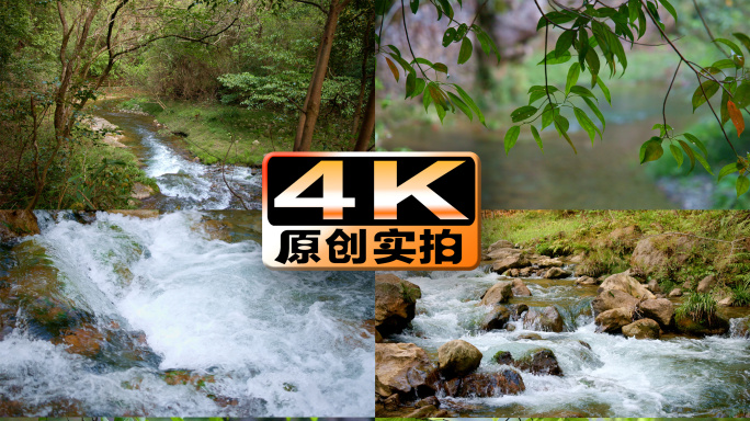 4k大自然森林环境河流小溪树叶唯美空镜头