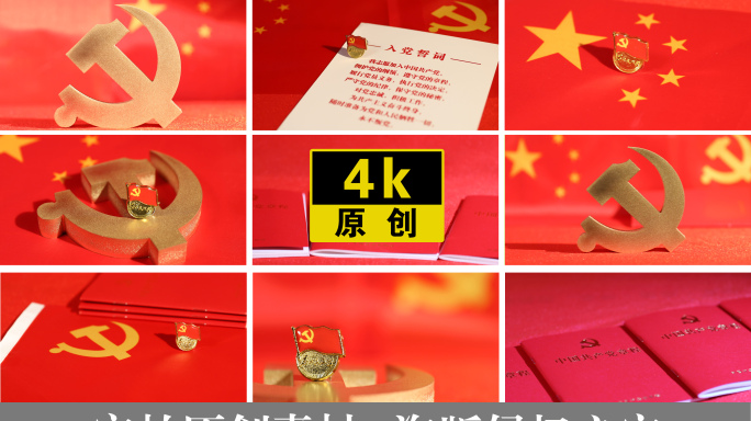 红色党建党政旗帜宣誓党政宣传片头素材4K