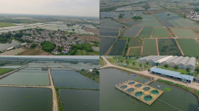 4k-中国乡村特色农业水产养殖村落