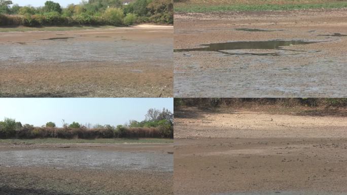 干旱天气 池塘干涸 池底淤泥 池底积水