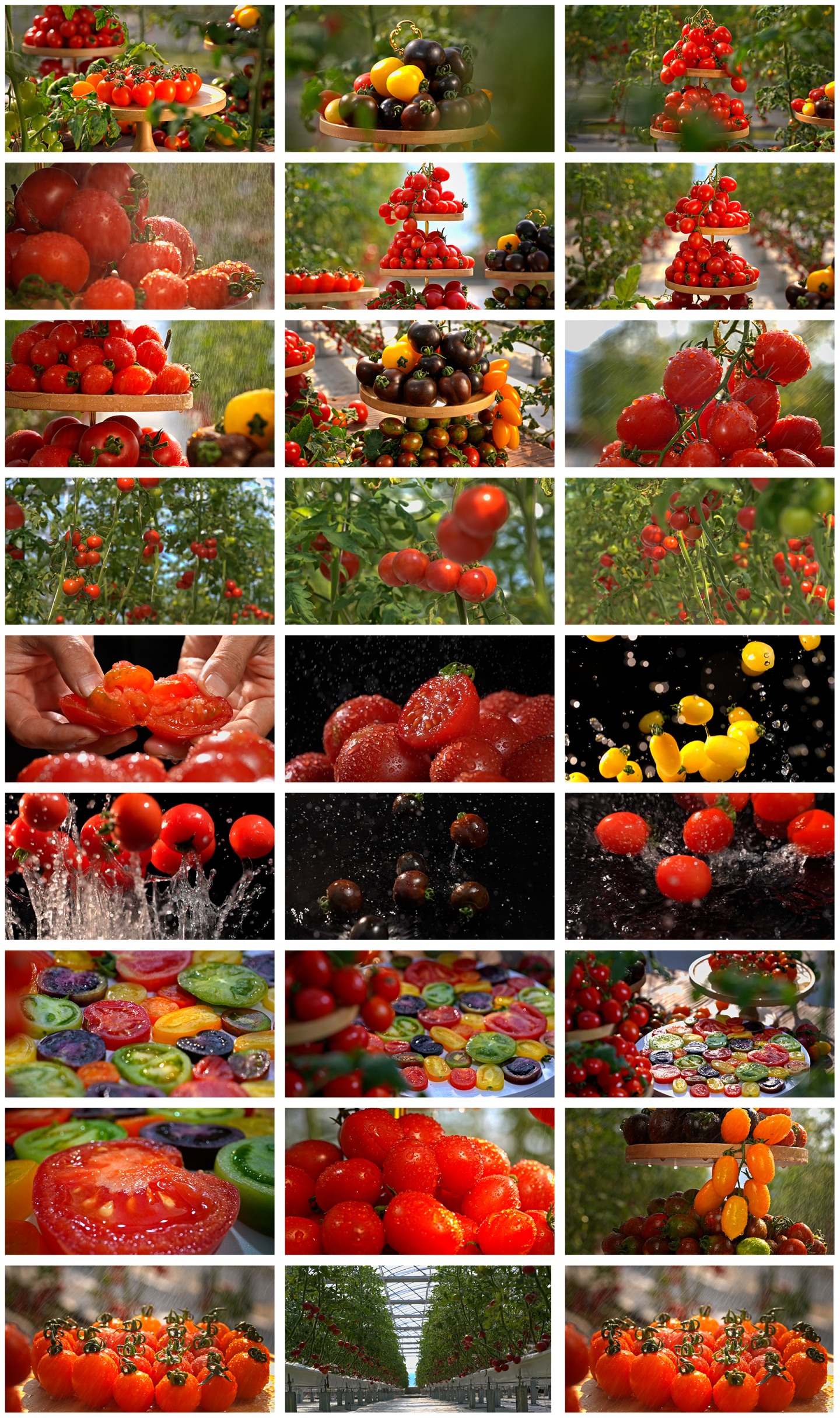 番茄西红柿创意拍摄合集