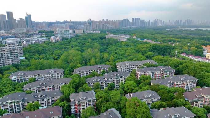 湖北武汉东湖城市风景风景风光航拍听涛景区