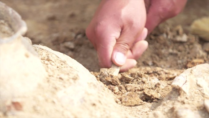 考古人员 竹签挖土 考古工作探寻B021
