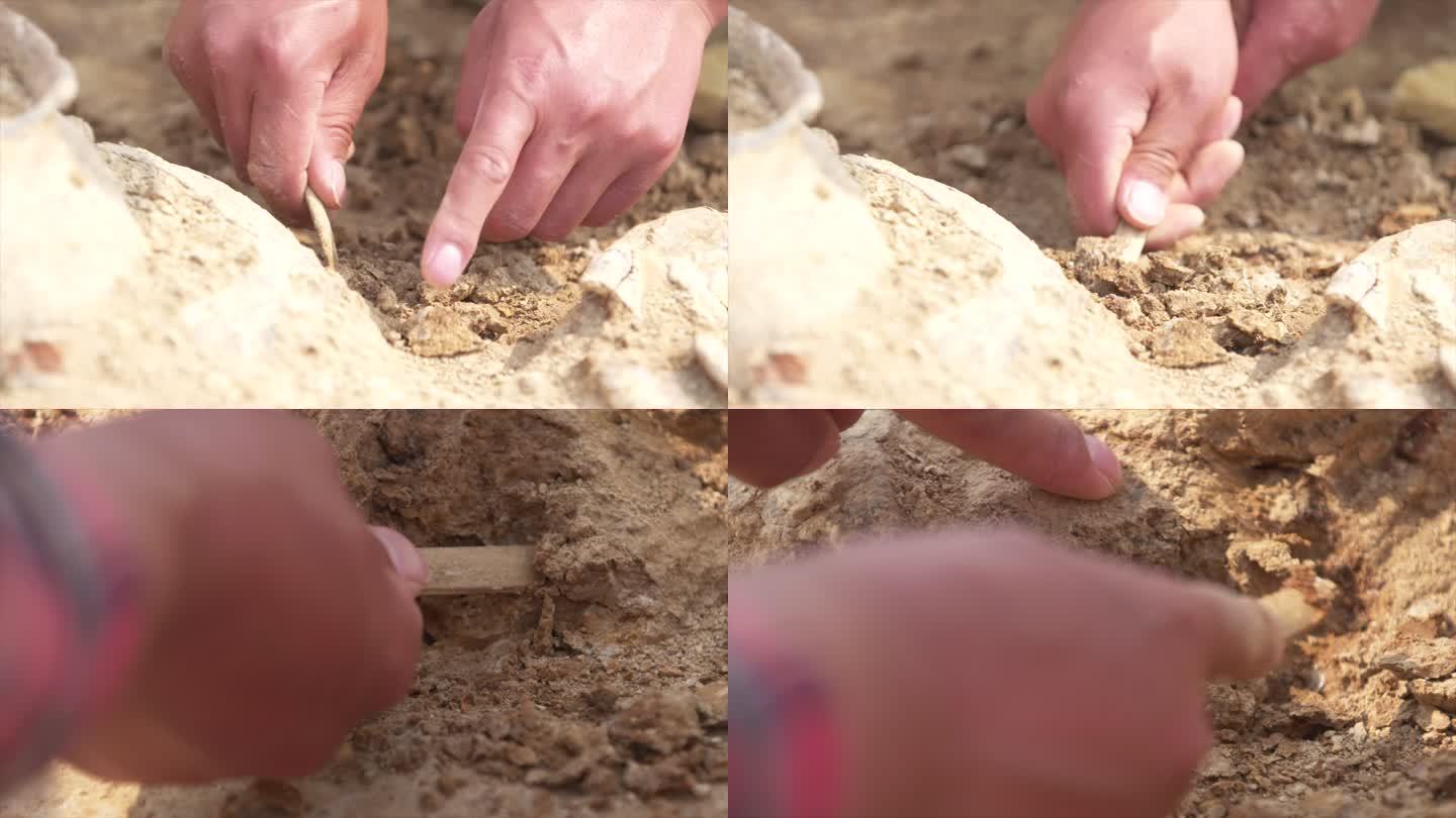 考古人员 竹签挖土 考古工作探寻B021