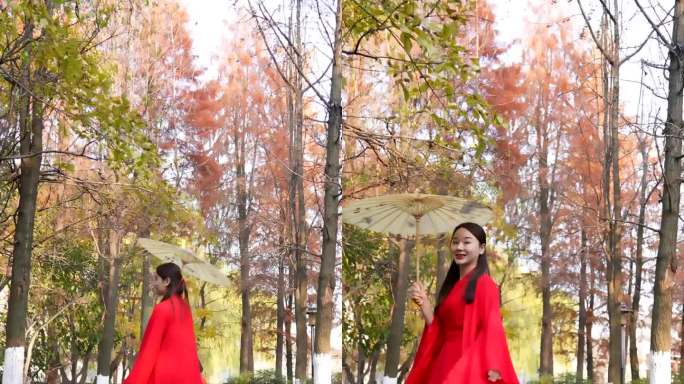 竖版－红衣美女在秋天银杏林上转圈走路