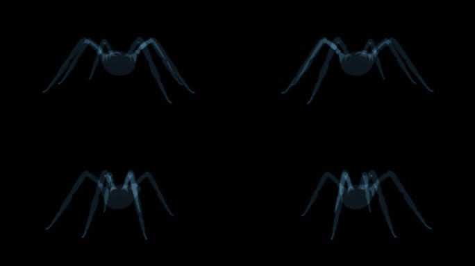 蜘蛛 爬行动物塑料玩具恐怖可怕螃蟹昆虫9