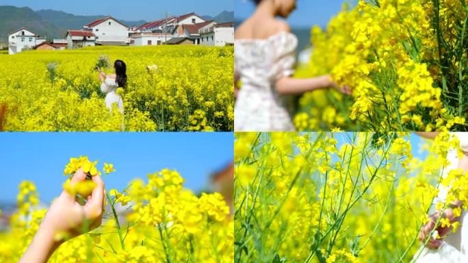 春天花海油菜花女孩身影