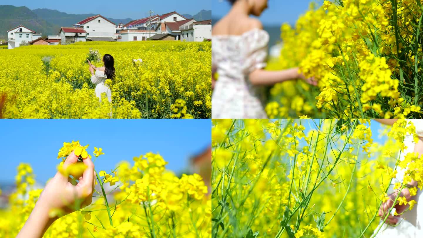 春天花海油菜花女孩身影