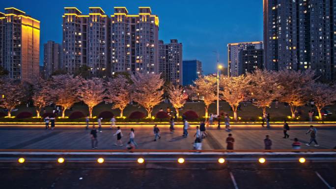 杭州滨江闻涛路樱花大道夜景