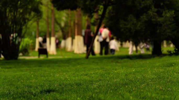 唯美公园草地延时