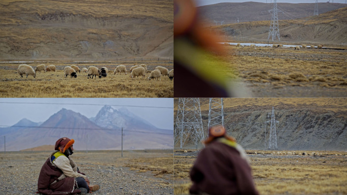 西藏藏民高原放牧